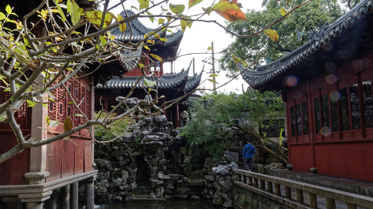 20161112 094722•Shanghai•Shanghai•China